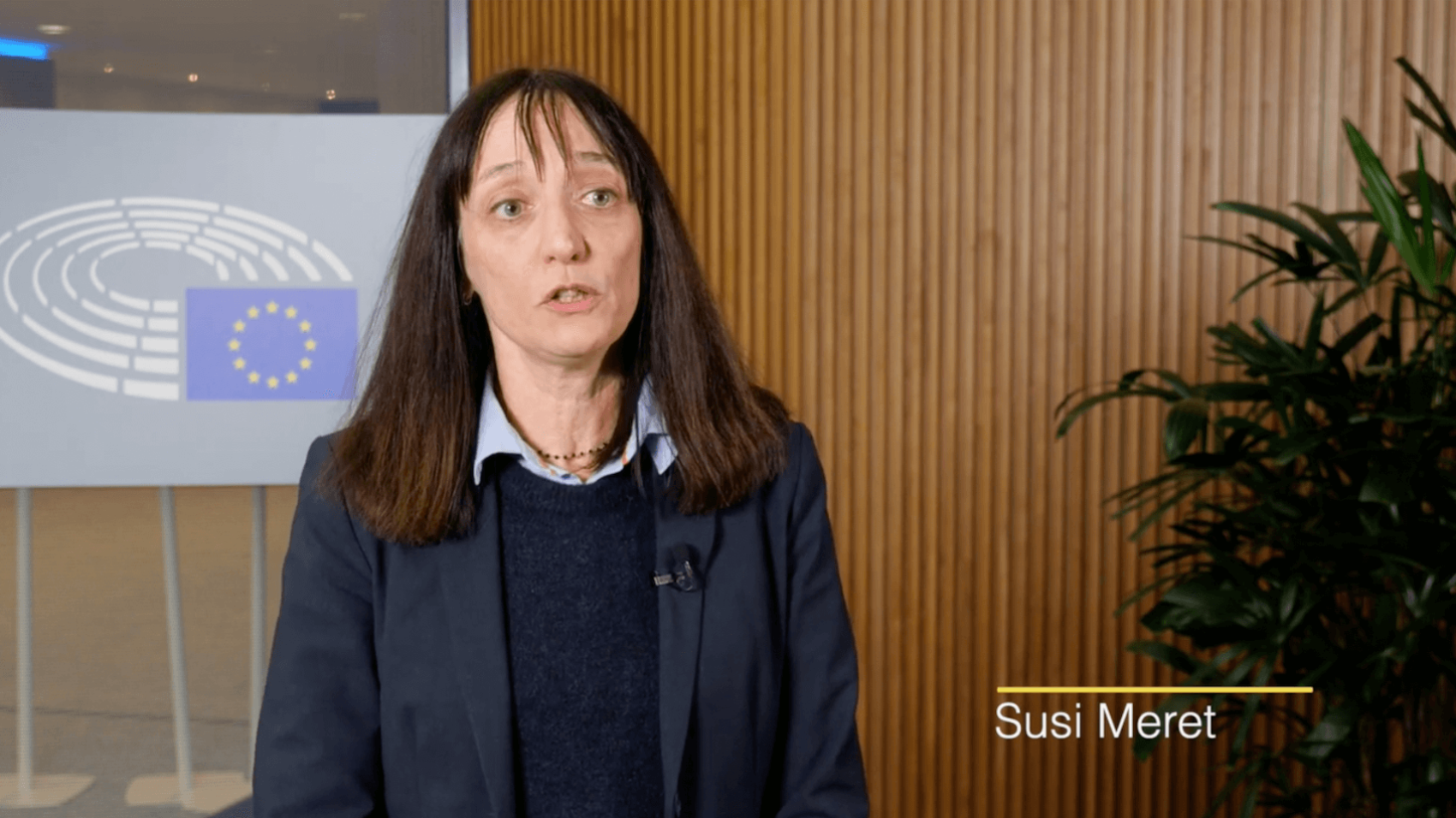 Susi Meret