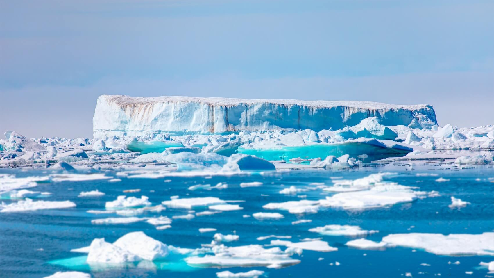 Melting icebergs along Greenland's coast.  Photo: Shutterstock.