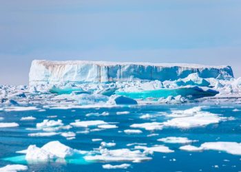Melting icebergs along Greenland's coast.  Photo: Shutterstock.