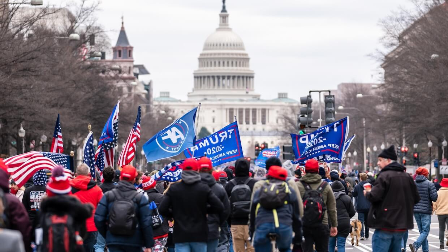 Trump supporters marched toward Capitol Hill on January 6, 2021, in Washington, D.C., USA. Photo: Dreamstime / © Bgrocker