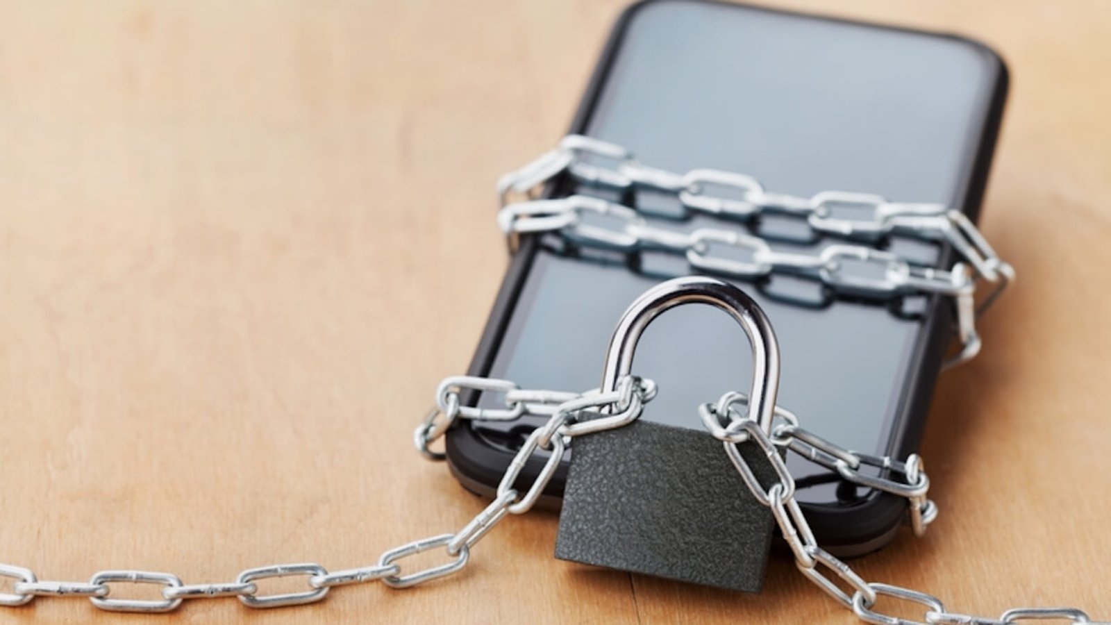 Photo: Julia Sudnitskaya.