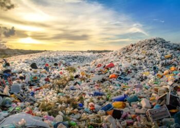 Plastic waste dumping site on Thilafushi Island.