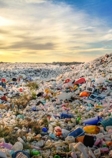 Plastic waste dumping site on Thilafushi Island.