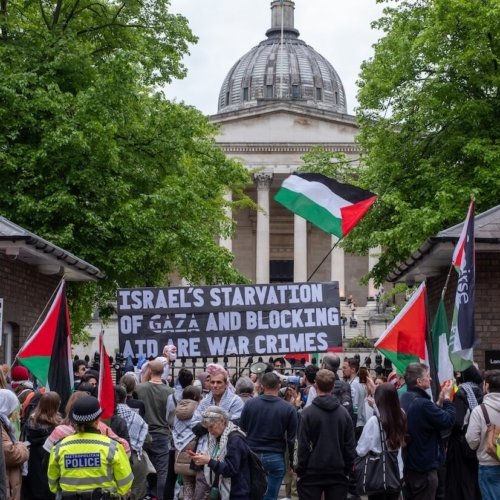 Pro-Palestinian protest.