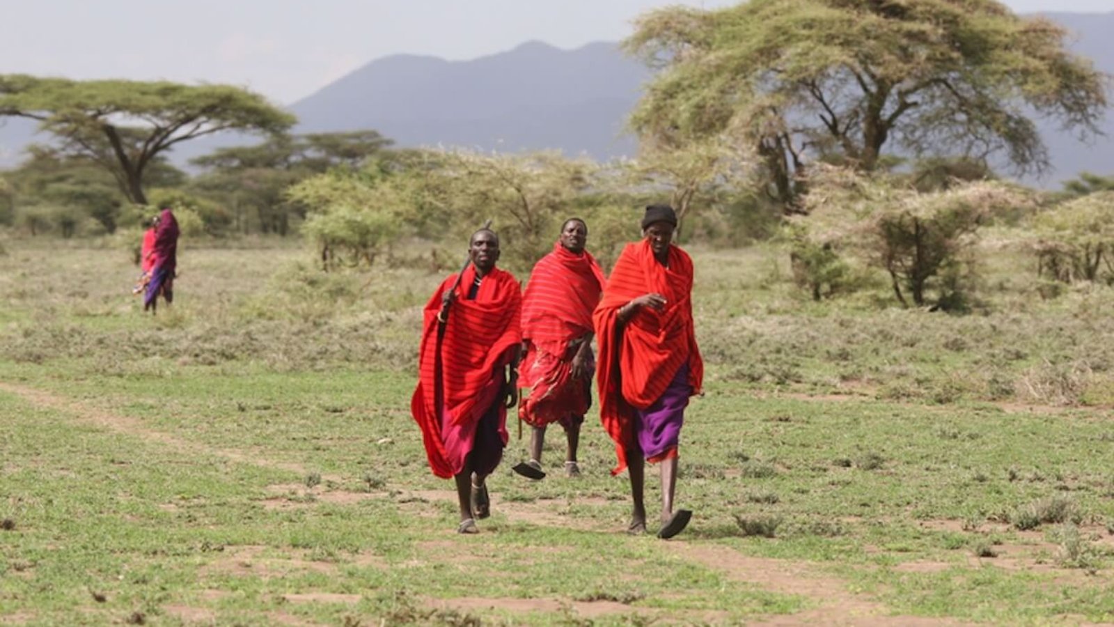 Maasai people.