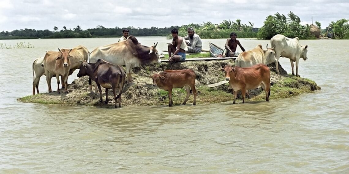 Climate Change, Bangladesh.