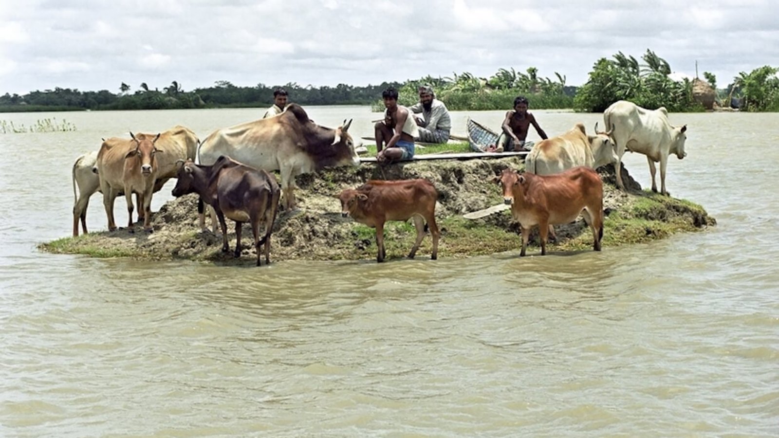 Climate Change, Bangladesh.