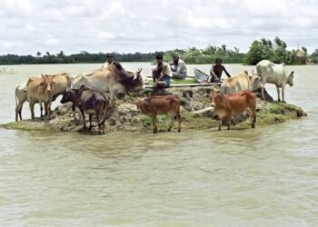 Climate Change, Bangladesh.