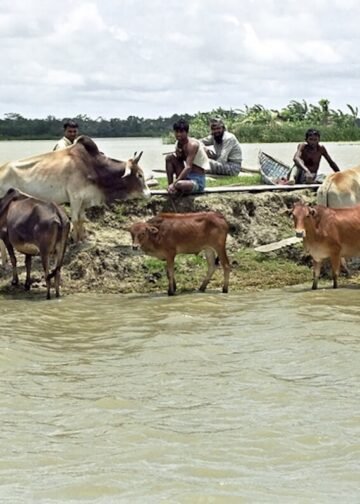 Climate Change, Bangladesh.