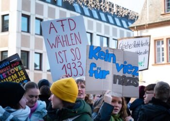 Protest against the far-right Alternative for Germany (AfD) in Trier, Germany, on January 28, 2024. Demonstrators gathered in support of human rights, diversity, and a society free from discrimination and racism. Photo: Dreamstime.
