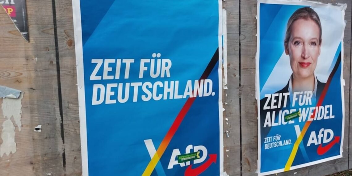 AfD posters.