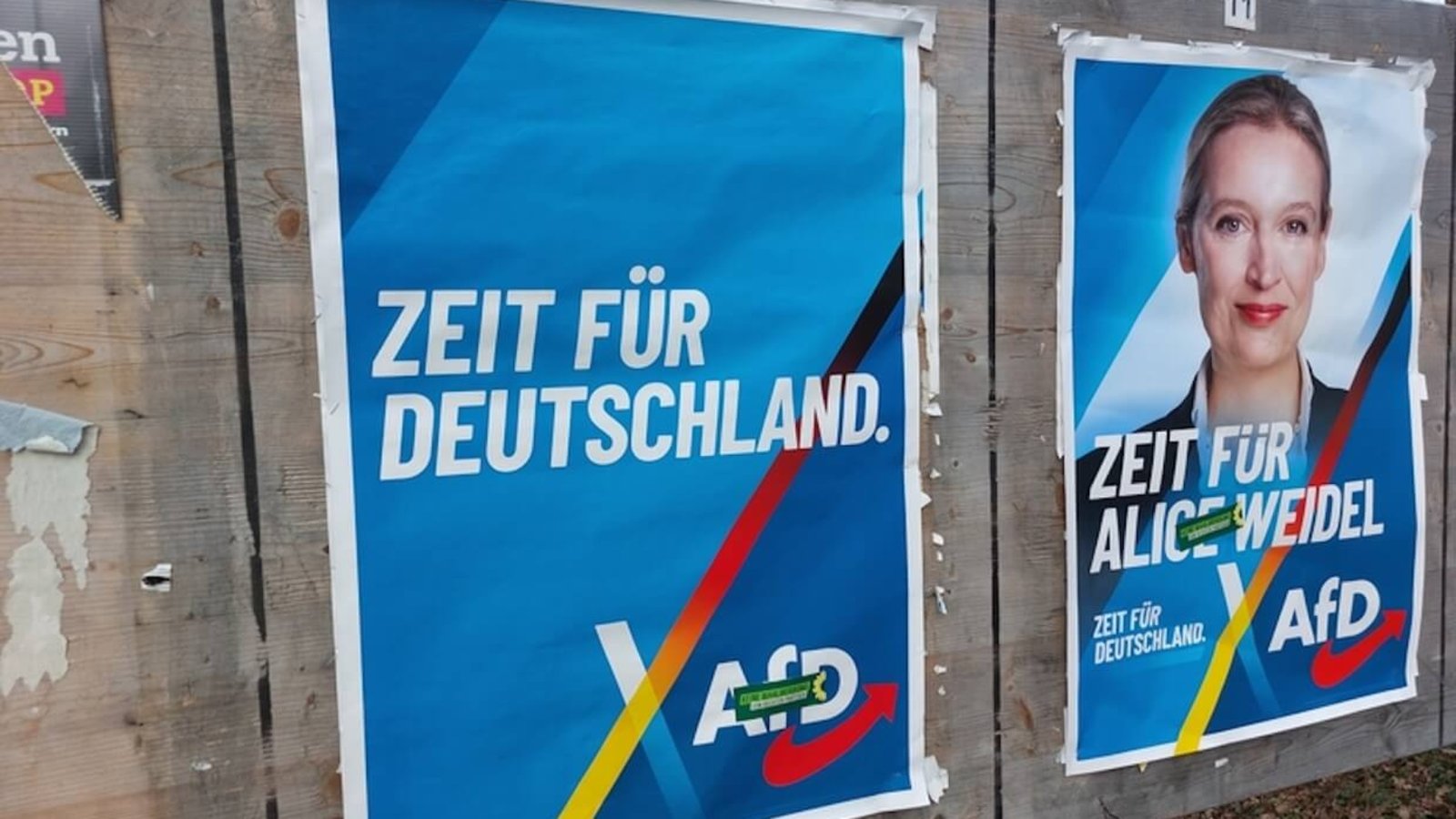 AfD posters.