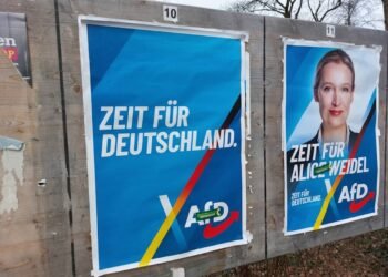 AfD posters.