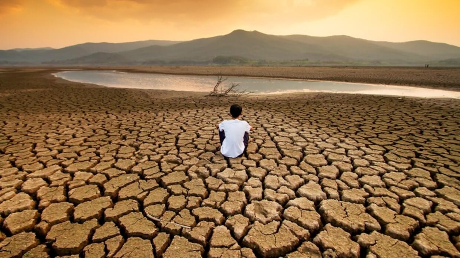 Climate change.